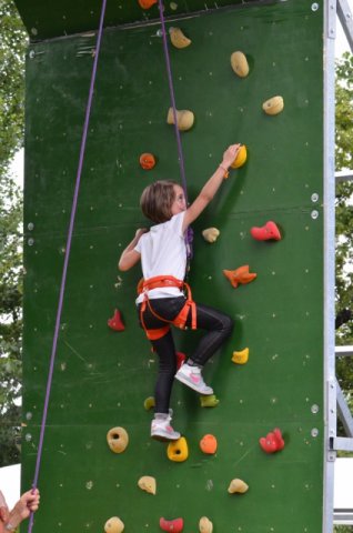 Sport